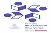 Semana de la Docencia de Pregrado - Universidad de Chile · Semana de la Docencia de Pregrado 2018 | Universidad de Chile 9 Martes 24 de julio Sin duda, uno de los grandes desafíos