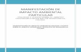 MANIFESTACIÓN DE IMPACTO AMBIENTAL PARTICULARsinat.semarnat.gob.mx/dgiraDocs/documentos/col/e... · MANIFESTACIÓN DE IMPACTO AMBIENTAL PARTICULAR DE LA VIALIDAD Y PUENTE SOBRE EL