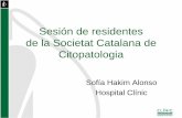 Sesión de residentes de la Societat Catalana de Citopatologia · –Tumor desmoplásico de células redondas –Wilms –Hepatoblastoma –Pancreatoblastoma –Melanoma Diagnóstico