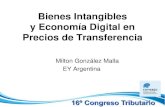 Bienes Intangibles y Economía Digital en Precios de ...•Los desarrollos de la Economía Digital son un grupo muy dinámico dentro de los Bienes Intangibles: Usuarios de Internet