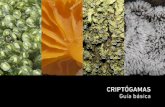CRIPTÓGAMAS Guía básica - CIRENYS · de plantas muy primitivas, que se caracterizan por poseer un gametofito dominante y fotosintético, y esporofi-tos de corta duración que se