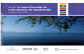 Cuenta Experimental de Ecosistemas de Guatemaladocuments.worldbank.org/curated/en/451591561110110128/...de-Guatemala.pdf · Ecosistemas de Guatemala ... bioclimáticas denominadas