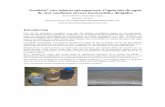 Neodren con tubería microporosa: Captación de agua de mar …cidta.usal.es/cursos/tuberias/PDFs/Unidad 4/U4C3/T09.19.pdf · 2009-11-01 · Con los resultados obtenidos, y una vez