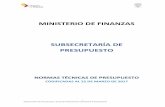 MINISTERIO DE FINANZAS SUBSECRETARÍA DE PRESUPUESTO · en un solo Ente Financiero, con presupuesto, contabilidad y tesorería únicos. 1.1.2 MODELO DE GESTIÓN FINANCIERA El conjunto