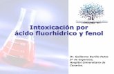 Intoxicación por ácido fluorhídrico y fenolfetoc.es/reuniones/Jornadas/XVIIJTC/HF_fenol.pdf · 2014-04-09 · en el HF) o neurológicas (fenol) con riesgo vital. – Monitorizar