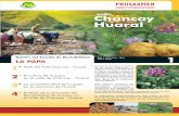 valle Chancay Huaral Dirección General de Información Agraria · Intendencia de Recursos Hídricos. Dirección de Gestión de Cuencas Hidrográficas. 2007. 10 En el Mapa no figura