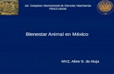 Bienestar Animal en Méxicocongreso.fmvz.unam.mx/pdf/memorias/MEMORIAS EQUINOS... · •Libres de hambre y sed. •Libres de dolor y malestar físico •Libres de enfermedades y lesiones