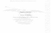 Algebra B ´ asica´euclides.us.es/da/apuntes/abasica/Teoria_2010_2011.pdf · Algebra B´asica. Departamento de´ Algebra. ´ El contenido de estas notas ha sido disenado y redactado