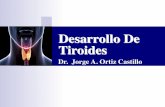 Desarrollo De Tiroides - WordPress.com · 08/03/2017  · —> Evaginación = Primordio de la Tiroides / Yema Tiroidea (Hueco). 30 @H=MDJGJBó< >GóID>< ČǼĐÀĐǼÀĎĜĈĂÄÀĐ