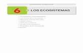 LOS ECOSISTEMASiesjimenezlozano.centros.educa.jcyl.es/sitio/... · Un bioma es un conjunto de ecosistemas terres - ... Pradera Bosque mediterráneo Desierto Selva tropical húmeda