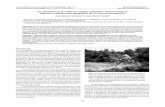 Las telarañas en la medicina popular española: …sea-entomologia.org/PDF/RIA21/169174RIA21Telarañas.pdfpleo en la cura umbilical, el tr atamiento de quemaduras y contusio-nes,