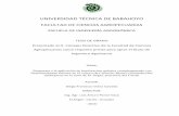 UNIVERSIDAD TÉCNICA DE BABAHOYOdspace.utb.edu.ec/bitstream/49000/998/1/T-UTB-FACIAG-AGR-000194.pdf · - 2015- i UNIVERSIDAD TÉCNICA DE BABAHOYO FACULTAD DE CIENCIAS AGROPECUARIAS