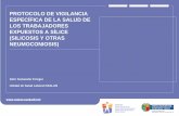 PROTOCOLO DE VIGILANCIA ESPECÍFICA DE LA SALUD DE LOS … · 2012-01-30 · vigilancia de la salud postocupacionalde los trabajadores que hayan sido diagnosticados de silicosis A