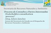 Secretaría de Recursos Naturales y Ambiente...Procedimiento para Aprobar Proyectos MDL –Honduras La Secretaría de Recursos Naturales y Ambiente (SERNA), en su calidad de Autoridad