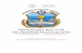 PROGRAMA RECTOR DE PROFESIONALIZACIÓN · 2017-03-03 · acuerdo con el nivel, per!l y funciones de sus elementos. Lineamientos generales para la elaboración de programas de formación