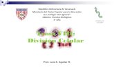 Tema VIII: División Celularbiologiasi.weebly.com/.../0/1/0/40103559/tema_viii_division_celular_si.pdf · muerte celular, que está regulada genéticamente. MUERTE CELULAR Es parte