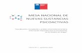 MESA NACIONAL DE NUEVAS SUSTANCIAS PSICOACTIVAS · 6 Resumen Ejecutivo Luego del trabajo realizado en la Mesa Nacional de Nuevas Sustancias Psicoactivas entre el 31 de marzo y el