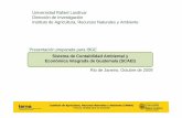Universidad Rafael Landívar Dirección de Investigación Instituto de ...unstats.un.org/unsd/envAccounting/workshops/brazil2009/S2.3-S.pdf · (CEPAL) sirve de marco para el análisis