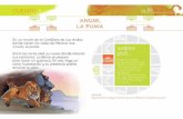 Presentación de PowerPointsemanaeducacionartistica.cultura.gob.cl/wp-content/uploads/2019/04/anumi-la-puma-web.pdfCUENTO ANUMI, LA PUMA En un rincón de la Cord Ilera de Los Andes,
