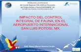 IMPACTO DEL CONTROL INTEGRAL DE FAUNA, EN EL … 14-P… · impacto del control integral de fauna, en el aeropuerto internacional san luis potosi, mx. mvz. mario alfonso sánchez