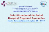 Sala Situacional de Salud Hospital Regional Ayacucho · EQUIPO DE EPIDEMIOLOGIA Y SALUD AMBIENTAL HOSPITAL REGIONAL AYACUCHO 2019 Director Ejecutivo del HRA Dr. Jorge Rodríguez Rivas
