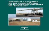POTENCIAL ENERGÉTICO DE LOS energético.pdf · Registro de Industrias Agrarias. Asimismo, se ha utilizado información directa obtenida a través de encuestas realizadas al sector.