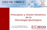 Principios y Visión Histórica de la Oncología Quirúrgica · Core Curriculum (Junio 2013) Contenido y espectro de la Oncología Quirúrgica . Requiere formación teórica, en investigación