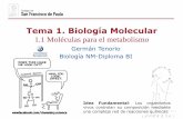 Tema 1. Biología Moleculardpbiologia.weebly.com/uploads/2/1/5/5/21553524/gtp_t1._biología_molecular_nm__1...Tema 1. Biología Molecular 1.1 Moléculas para el metabolismo Idea Fundamental: