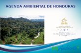 AGENDA AMBIENTAL DE HONDURAS...CONVENCIONESYTRATADOS Ley de Ordenamiento Territorial Visión de pais y Plan de Nación de Nación 2038 Diagrama 2. Estructura P de la Agenda Climåtica