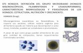 07) HONGOS. DEFINICIÓN DEL GRUPO …depa.fquim.unam.mx/.../Tema07/T-07-Hongos-201.pdfHONGOS (fungi) continuación Los hongos microscópicos son las levaduras y los mohos, el tercer