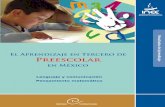Preescolar...El Aprendizaje en Tercero de Preescolar en México 8 estímulos. La colaboración de un grupo de entu-siastas educadoras fue decisiva en este sentido. Por ello hoy contamos