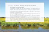 Huella del Agua en Arroz - INIA Biblioteca Digitalbiblioteca.inia.cl/medios/biblioteca/boletines/NR40130.pdf · 2017-06-22 · Producción de Arroz: Buenas Prácticas Agrícolas (BPA)