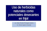 Uso de herbicidas naturales como potenciales desecantes en ... · antraciclinas, quinonas, flavonoides y lignatos Las cumarinas, son comunes en plantas de la familia Rutaceae y Apiaceae