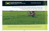 El personal de las cooperativas agrarias podrá …7 nuestras cooperativas La cooperativa Cooprado, de Casar de Cáceres, organiza el próxi-mo 8 de mayo la segunda edición de Multiactividad