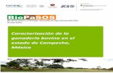 Biodiversidad y Paisajes Ganaderos Agrosilvopastoriles Sostenibles · 2018-12-17 · El potencial de producción de biomasa de los forrajes tropicales nativos, mejorados y leguminosas
