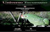 Universo Tucumano 04 - Amazona tucumana (Bertelli)lillo.org.ar/revis/universo-tucumano/2018/2018-ut-v04.pdf · S. Bertelli: Amazona tucumana, loro alisero 5 Historia natural El macho