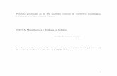 NAFTA, Manufactura y Trabajo en Méxicosgpwe.izt.uam.mx/pages/egt/congresos/nafmantrab.pdf · salvedades: establece reglas de origen en varios niveles para gozar de la desgravación