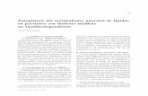Patogénesis del metabolism anormao dl e lípidos en ...actamedicacolombiana.com/...1993-08-Patogenesis_del... · 45 Patogénesis del metabolism anormao dl e lípidos en paciente