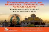 Peregrinación de Nuestra Señora de Guadalupe...trabajaron la piedra de obsidiana y los usos múltiples de la planta de Maguey. Nues-tro día lleno de actividades y diversión culminará