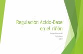 Regulación Acido-Base en el riñónnefrohospbritanico.org.ar/clases/Regulacion-renal-EAB.pdfIntroducción u El metabolismo de AA también es una fuente de acido y base, en cualquiera