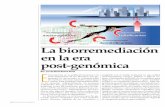 desnitri˚cantes La biorremediación en la era post-genómica E28 sentes en una comunidad o un ambiente deter-minado, contaminado o no. En la actual era post-genómica, reinan las