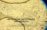 INFECCIONS INTESTINALS IMPORTADES · 3En els països en desenvolupament les infeccions representen la 1ª causa de mortalitat (45% del total) 3> 1/3 de la població pateix alguna
