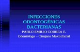 INFECCIONES ODONTOGÉNICAS BACTERIANASmaxillofacial.co/.../2017/04/infecciones-odontogc3a9nicas-bacterianas.pdf · Las infecciones de origen odontogénico son una de las principales
