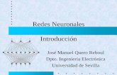 Redes Neuronales Introduccióniecon02.us.es/ASIGN/SEA/redesneur_simplificada.pdfRedes Neuronales Introducción José Manuel Quero Reboul Dpto. Ingeniería Electrónica Universidad