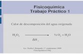 Fisicoquímica Trabajo Práctico 1ufq.unq.edu.ar/Docencia-Virtual/FQ-2008/TP1_explicacion_palma.pdf · La termodinámica de equilibrio se enfonca en las propiedades macroscópicas