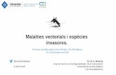 Malalties vectorials i espècies invasores.lincc.uib.eu/wp-content/uploads/PPT_Jornades_PDF/S3---Miguel-Miranda.pdf · movimientos de poblaciones, la rápida urbanización poco planificada