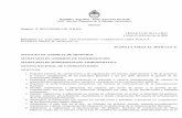 Repأ؛blica Argentina - Poder Ejecutivo Nacional Informe ... PLANILLA ANEXA AL ARTأچCULO 11 PLANILLA