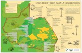 SitioS PrioritarioS Para la conServación · 2016-04-07 · • Especies paisaje* (lobo de río, jaguar, águila harpía), • Especies endémicas** (cotorrita amazónica). Potencialidad