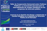 Taller de Cooperación Horizontal sobre Políticas Públicas ... · Taller de Cooperación Horizontal sobre Políticas Públicas: La innovación peruana para la internalización de