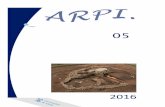 2016 - arqueologiaprehistorica.es 05-2.pdfEn este trabajo se discute acerca de las relaciones entre el megalitismo y las primeras evidencias de antropización en Galicia desde los